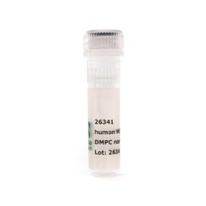 Nanodisc MSP1D1 DH5 DMPC
