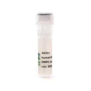 Nanodisc MSP1D1 DMPC