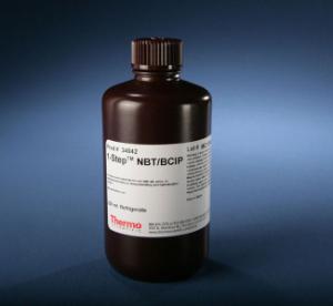 Pierce 1-Step™ NBT/BCIP Substrate Solution, Thermo Scientific
