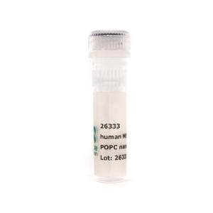 Nanodisc MSP1D1 POPC