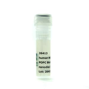 Nanodisc MSP1D1 His POPC biotinyl PE