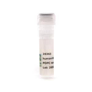 Nanodisc MSP1E3D1 POPC