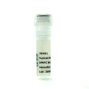 Nanodisc MSP1E3D1 His DMPC biotinyl PE