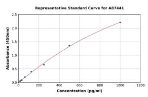 Representative standard curve for Bovine Leptin ELISA kit (A87441)