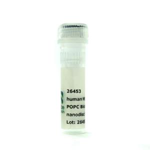 Nanodisc MSP1E3D1 His POPC biotinyl PE