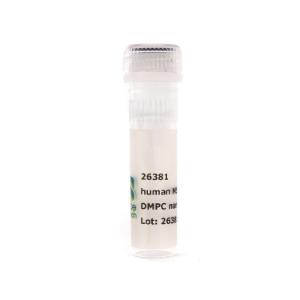 Nanodisc MSP2N2 DMPC