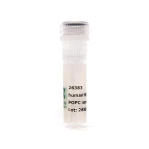 Nanodisc MSP2N2 POPC