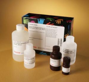 Pierce™ Fast Western Blotting Kit, SuperSignal™ West Femto Substrate, Thermo Scientific