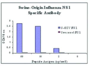 Anti-NS1 Rabbit polyclonal antibody