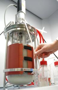 RAPIDPoint® 500 Blood Gas Analyzer, Siemens Healthineers