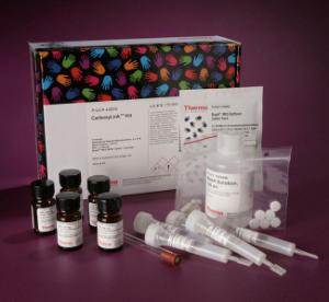 Pierce™ CarboxyLink™ Immobilization Kit, 2 ml, Thermo Scientific