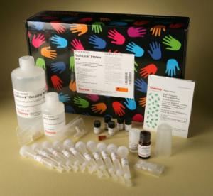 Pierce™ SulfoLink™ Immobilization Kit for Proteins, Thermo Scientific