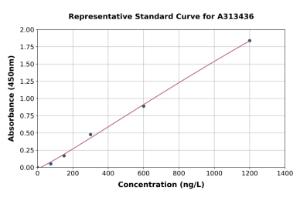 Representative standard curve for human NGF ELISA kit (A313436)