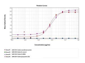 Anti-SARS Coronavirus 2 Spike S2 Mouse monoclonal antibody [clone 15D9.E2.C10]