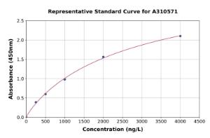 Representative standard curve for Mouse Dkkl1 ELISA kit (A310571)