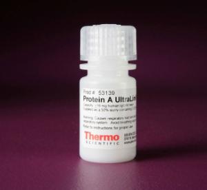 Pierce™ Protein A and A Plus UltraLink™ Resin, Thermo Scientific