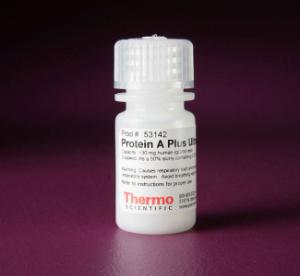 Pierce™ Protein A and A Plus UltraLink™ Resin, Thermo Scientific