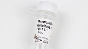 Thermolabile Protease K