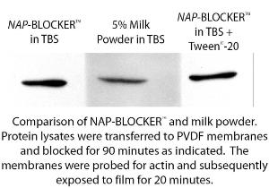 NAP-BLOCKER™ Non-Animal Protein Blocking Agent, G-Biosciences
