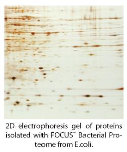 FOCUS™ Proteome Kits, G-Biosciences
