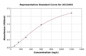 Representative standard curve for human MMS2 ELISA kit (A313445)