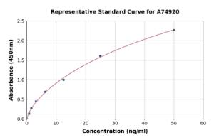 Representative standard curve for Rat Ovalbumin Specific IgE ELISA kit (A74920)