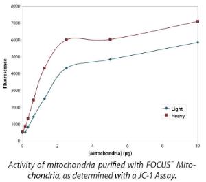 FOCUS™ Mitochondria, G-Biosciences
