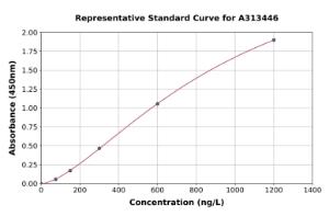 Representative standard curve for human ANTXR2/CMG-2 ELISA kit (A313446)