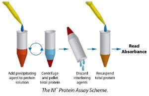 NI™ (Non-Interfering™) Protein Assay, G-Biosciences