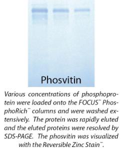 FOCUS™ PhosphoRich™, G-Biosciences