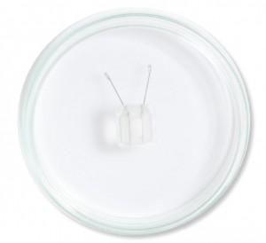 Petri Dish Platinum Electrode Chamber, 15 mm gap