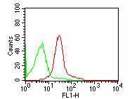 Flow Cytometry - Mouse anti-HUMAN CD47 FITC