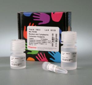Pierce™ NE-PER® Nuclear and Cytoplasmic Extraction Reagent Kit, Thermo Scientific