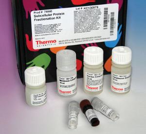 Pierce Subcellular Protein Fractionation Kit, Thermo Scientific