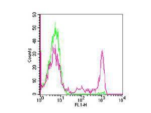 Anti-CD8A Mouse monoclonal antibody (FITC (Fluorescein Isothiocyanate)) [clone: RPA-T8]
