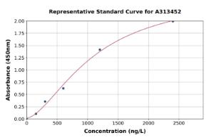 Representative standard curve for human TARC/CCL17 ELISA kit (A313452)