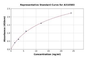 Representative standard curve for Human PSD95 ELISA kit (A310583)