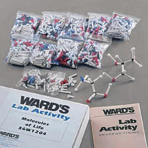 Ward's® Molecules Of Life Kit