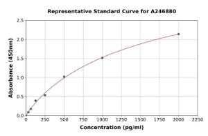 Representative standard curve for Human miRNA-210 ELISA kit (A246880)