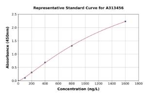 Representative standard curve for human Lin28A ELISA kit (A313456)