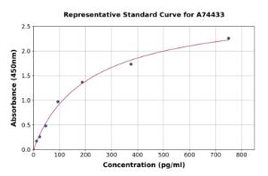 Representative standard curve for Rat IL-12 p40 ELISA kit (A74433)