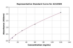 Representative standard curve for Mouse COLEC11 ELISA kit (A310589)