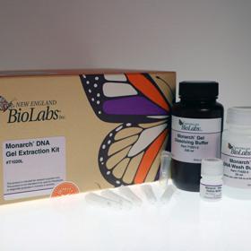 Monarch DNA Gel Extraction Kit - 250 preps