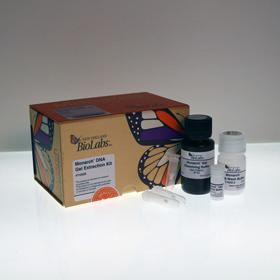 Monarch DNA Gel Extraction Kit - 50 preps