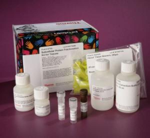 Pierce™ Subcellular Protein Fractionation Kit for Tissues, Thermo Scientific