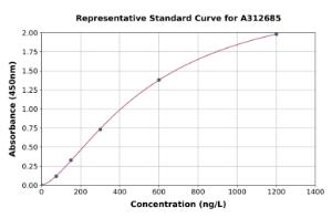 Representative standard curve for Human TRIP13/PCH2 ELISA kit (A312685)