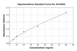 Representative standard curve for Human Somatostatin Receptor 2 ELISA kit (A310594)