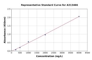 Representative standard curve for mouse Glypican 4 ELISA kit (A313466)