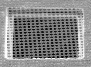 Quantifoil r 0 .6/1 holey carbon films on grids