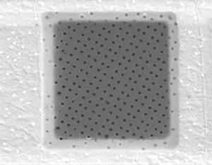 Quantifoil r 1/2 holey carbon films on grids